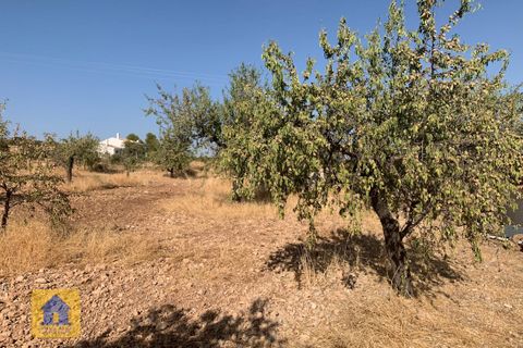 Cortijo i Cebas, Granada, Cebas - € 85.000 | Ref: cs2185 - foto 41